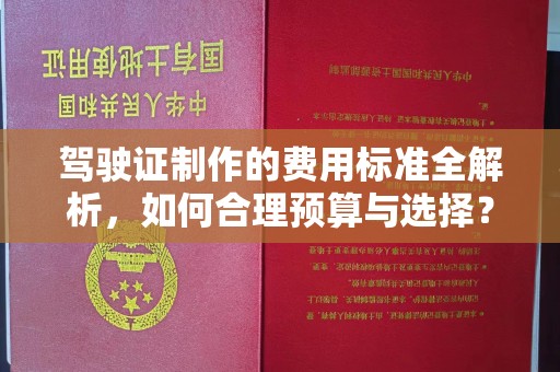 莱山驾驶证制作的费用标准全解析，如何合理预算与选择？
